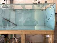 150 x 60 x 60cm 5 x 2 x 2ft Aquarium and All Eqpt to run