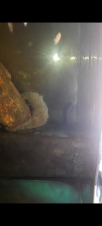 Two Juwel tanks