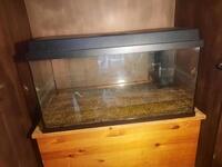 Two Juwel tanks