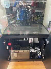 Red Sea Reefer 250 G2