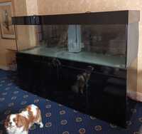 7ftx2x2 Aquarium with sump and accessories for sale