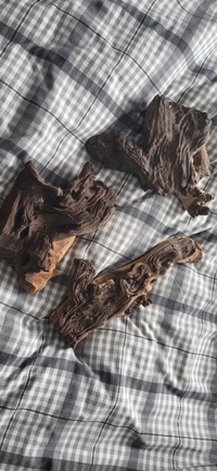 Bogwood new unused 3 pieces