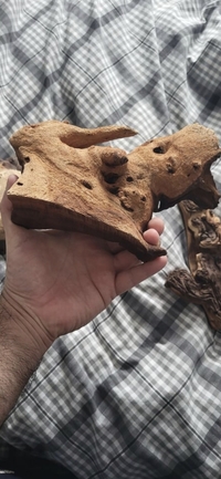 Bogwood new unused 3 pieces