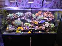 MARINE TANK BREAKING DOWN - ALL FOR SALE