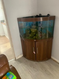 Marine jewel corner fish tank