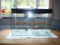 Aquariums for sale