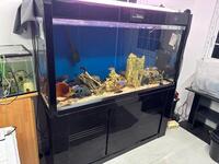 Range of large tanks at bargain prices