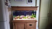 Aqua Oak 200L aquarium and accessories - Complete set up