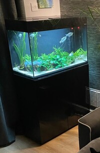 Bargain- Modern black gloss Aquarium and cabinet