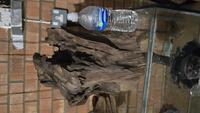Driftwood