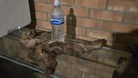 Driftwood