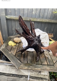 Aquarium bog wood £35