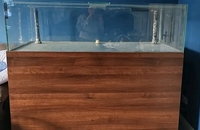Large fish tank for sale