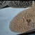 Luteus, fly river turtle, Stingray, super king Kong parrot, albino heckli and...