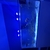 Marine Fish for sale