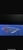 Exclusive Show Quality Rare Super Red Fish