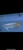 Exclusive Show Quality Rare Super Red Fish