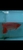 Now Landed / Now Sold Exclusive Show Quality Rare Super Red Fish 17 Planet Arowa