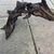 Various bog wood for sale