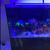 Evolution Aqua Pro Reef 1200. £300 ONO