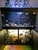 AquaOne400 full tropical setup 15 years of fishkeeping bundle £300