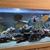 Shutting down tank ND Aquatics 8ftx2x2 Fish for sale,Tank with stand and all equ