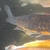 Ghost Common Carp Pond fish LARGE for sale