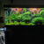 £750 - Rio 450L 5Ft Fish Tank + Cabinet