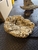 Fijian and Indonesian Rock + Show pieces