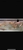 High Quality High Back Red Tail Golden Asian Arowana