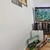 Oblong complete fish tank with Malawi fish