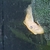 L144 Blue eyed lemon pleco fry