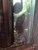 2 Polka-Dot Loaches and 1 Bristlenose Plec Free to Good Home