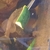 Plecs for sale, Seaham, County Durham.