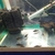 Corydoras Black Schultzei