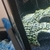 Selling up everything prices in photos cichlid tetra community fish and plants e