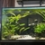 40” x 18” x 24”h aquarium & equipment