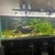 60” x 24” x 16”h braceless aquarium, equipment etc