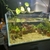 26” x 19” x 15”h x 2 aquariums & equipment
