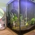 Aqua Manta Nano 35 aquarium + fish for sale