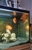3 large parrot fish