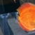 Chens Asian Discus X3 LARGE