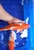 Premium Koi Fish for Sale – Handpicked Quality 