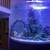 Very large acrylic fish tank for sale - £5000, transport not included