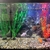 Complete Aquarium set & Equipment with two gold fish