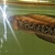 Snakehead Channa Asiatica 12 inches - £50 ono