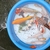Looking to sell all my fish in out door pond