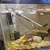Baby blue Acaras