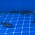 Very rare, Albino gars, albino/albino marble TSN, Fogo bass, red Phonix barbs