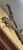 Marble Sailfin Pleco L22 9 inch